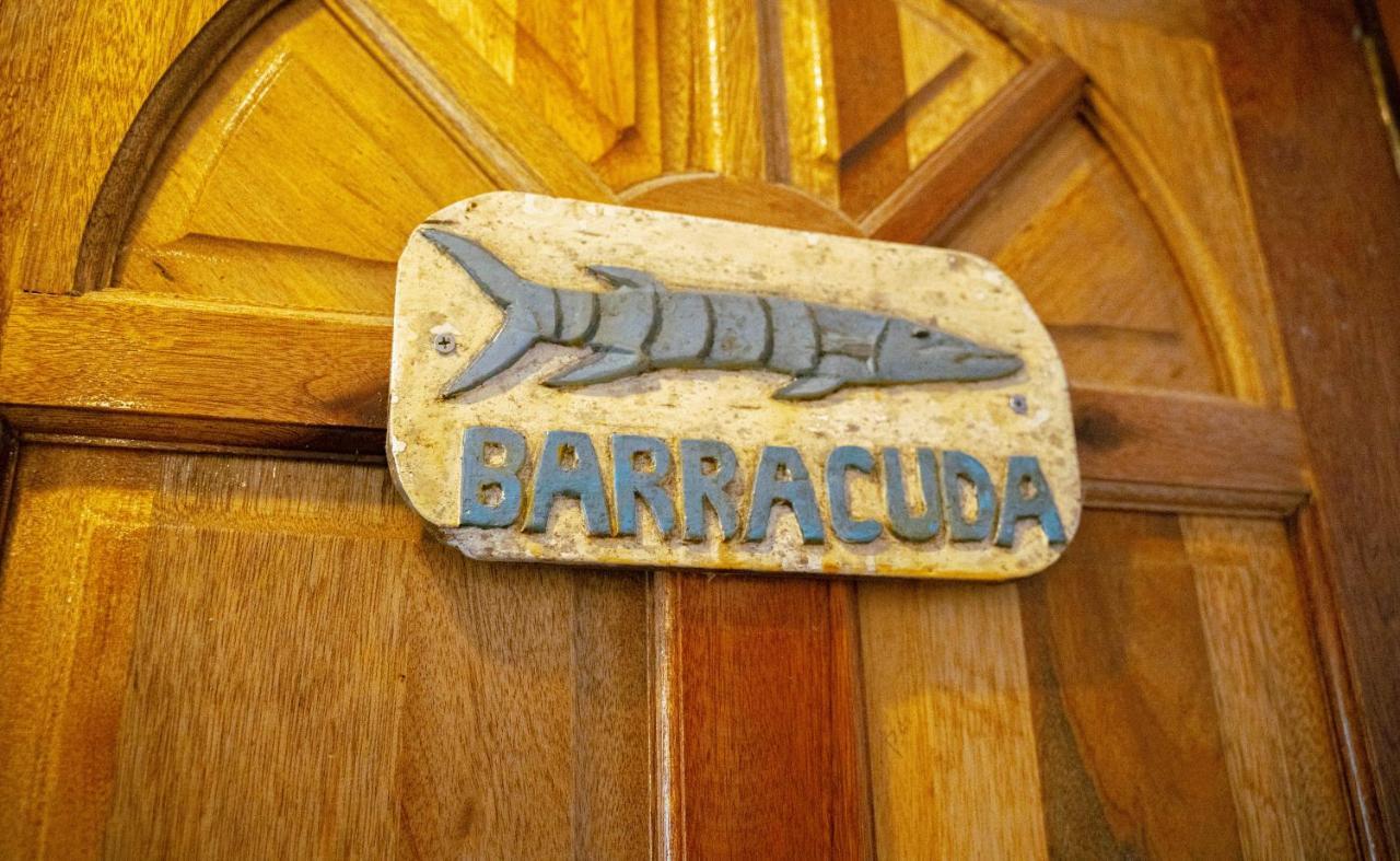 Divegurus Boracay Beach Resort Manoc-Manoc Kültér fotó